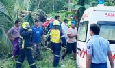 Fire and Emergency Services Authority attending the injured