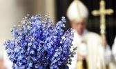 Pope Francis celebrates the Easter Mass, in St. Peter's Square at the Vatican, Sunday, April 16, 2017. (AP Photo/Gregorio Borgia) Pope Francis celebrates the Easter Mass, in St. Peter's Square at the Vatican, Sunday, April 16, 2017. (AP Photo/Gregorio Borgia)