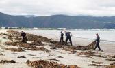 Police searching on beach 