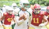 Fa’alili Fa’amoe of the Lions