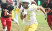 Freshman running back for the Leone Lions, Wylan Faga (5) breaking