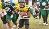 Nu’uuli Wildcats’ Joe Savaii