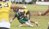 Leone Lions freshman running back Wylan Faga