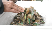 Labor struck agreements 