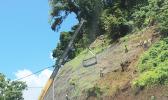 Workman on Mauga-O-Ali’i hillside