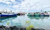 Fishing boats in the channel adjacent to the Pier 38 Fish Market, Honolulu Harbor