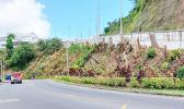 Maugaoalii hillside