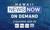 Hawaii News Now Livestream logo