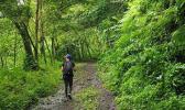 The track up Mt 'Alava. [Photo / Peter de Graaf[ The track up Mt 'Alava.