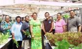 One of the activities of the ASCADSV Summer program - Agricultural Hydroponics was visits to hydroponics farms to see for participants to see for themselves the long term benefits of hydroponics as a form of gardening. The program focuses on Women Empowerment in Community Services.  [courtesy photo]