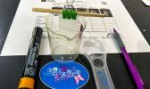 ’tools’ used during the lab lesson 