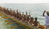 AN ICONIC RACE: The fautasi race was once a key feature of the celebration of Samoa’s independence day. [Samoa Observer]