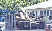 Truck hauling off debris from Alega property