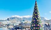 Cape Town Christmas decorations