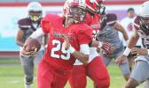 LJ Apisala of the Vikings 