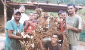 Saimon Lomaloma and others with kava
