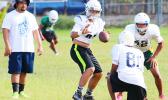 Lions quarterback Vegas Pearson (former Warriors QB) taking reps during practice – while being supervised by coach Langkilde. [photo: TG]