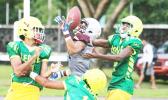 A long pass from Star Lotulelei 