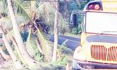 Low hanging telecom wires with bus driving under.