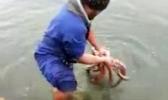 The octopus was captured in Andersons Bay Inlet on New Zealand's South Island