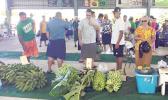 Lt. Gov. at Manu'a Farm Fair