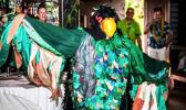 The cutting of native trees and the existence of invasive species are increasingly putting a threat to the endemic manumea bird population in Samoa. (Photo: Misiona Simo/Samoa Observer)