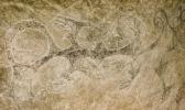 Māori rock art 