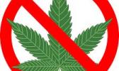 Just say no to marijuana logo