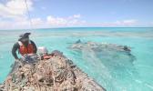 NOAA has been working tirelessly to investigate, prevent, and reduce the impact of marine debris,