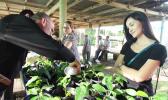 Northern Mariana Island Governor Eloy S. Inos launches the Micronesia Breadfruit Initiative in May 2014. The Micronesia Breadfruit Initiative (2014–16) is a project of the Commonwealth of the Northern Mariana Islands (CNMI) Saipan, representing the Governments of Guam, Palau, the Republic of the Marshall Islands, and the Federated States of Micronesia. In partnership with University of Hawai’i Pacific Business Center Program. [photo from Youtube]