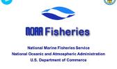 “In response, we are extending the public comment period by another 60 days, and are accepting public comments for the proposed rule through May 26, 2021,” says NMFS. Nat'l Marine Fisheries Service logo