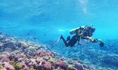 NOAA scientist off Swains Island