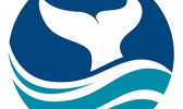 NOAA Fisheries encourages participants to explore facts about the species they choose to represent, such as appearance, behavior, habitat and threats to their survival. NOAA Marine Sanctuary logo
