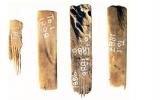 Oldest tattoo tools know, found at Tongatapu.