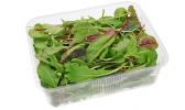 States affected include California, Oregon, Washington, Ohio and Mississippi. Samoa News has not determined if these products are available in the territory. packaged salad