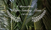 Diocese of Samoa Pago Pago Facebook page