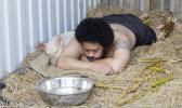Kalisolaite 'Uhila - Performance artist 