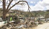 This undated photo provided by Hector Alejandro Santiago shows his farm in Barranquitas, Puerto Rico, destroyed by September 2017’s Hurricane Maria. For 21 years Santiago raised poinsettias, orchids and other ornamental plants which were sold to major retailers including Costco, Walmart and Home Depot. In a matter of hours Maria wiped it away. (Héctor Alejandro Santiago via AP) This undated photo provided by Hector Alejandro Santiago shows his farm in Barranquitas, Puerto Rico, destroyed by September 2017’s Hurricane Maria. For 21 years Santiago raised poinsettias, orchids and other ornamental plants which were sold to major retailers including Costco, Walmart and Home Depot. In a matter of hours Maria wiped it away. (Héctor Alejandro Santiago via AP)