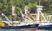 “This act shall establish a record of locally based purse seiner vessels that regularly land tuna to American Samoa either for use in the tuna processing plant or for transshipment.” Purse Seiner vessels in Pago harbor
