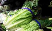 The Centers for Disease Control is warning consumers about romaine lettuce grown in Yuma, Aris, saying it may cause illness due to E. coli bacteria. Dozens of people from nearly 20 states have recently been sickened by the bacteria. (April 26) AP The Centers for Disease Control is warning consumers about romaine lettuce grown in Yuma, Aris, saying it may cause illness due to E. coli bacteria. Dozens of people from nearly 20 states have recently been sickened by the bacteria. (April 26) AP