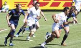 Samoa-Scotland linout— Tila Mealoi, Danny Kaye, Ropati  [photo: Joe Hamby]