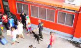  File photo of police canine on drug sniffing duty at Mulifanua Wharf