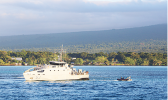 Ownership of Nafanua II is being transferred from the Samoan government to Canberra as they look at options for disposal. Nafanua II