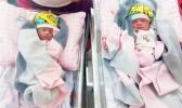 Twin babies in Samoa