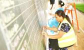 Samoa votes being tallied by young woman at blackboard