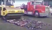 screen shot of firearms being destroyed