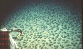 deep ocean for minerals