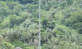 ASDHS will be conducting a siren test for all radio activated sirens on Friday, June 3, 2022 at 12 noon. Tsunami warning siren