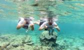 snorklers