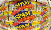 SPAM graphic